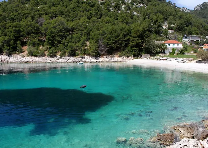 Seaside Secluded Cove Skozanje, Hvar - 14899 *